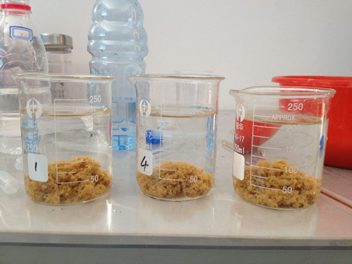 �մɏS�Uˮ�þۺ��Ȼ��X�r(ji��)���x