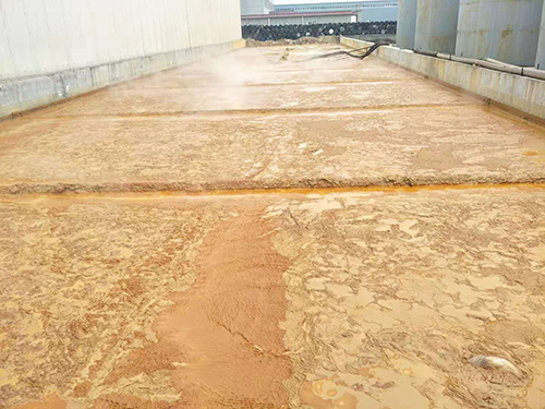 �ۺ��Ȼ��X�S�ҳ�����